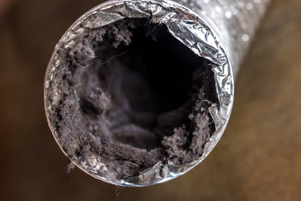 Best Best Air Duct Cleaning Company  in Embreeville, TN