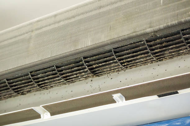 Best Air Duct Cleaning Near Me  in Embreeville, TN