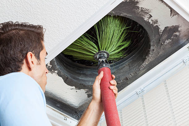 Best Professional Duct Cleaning Services  in Embreeville, TN